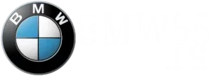 555bmwslot.ph Logo